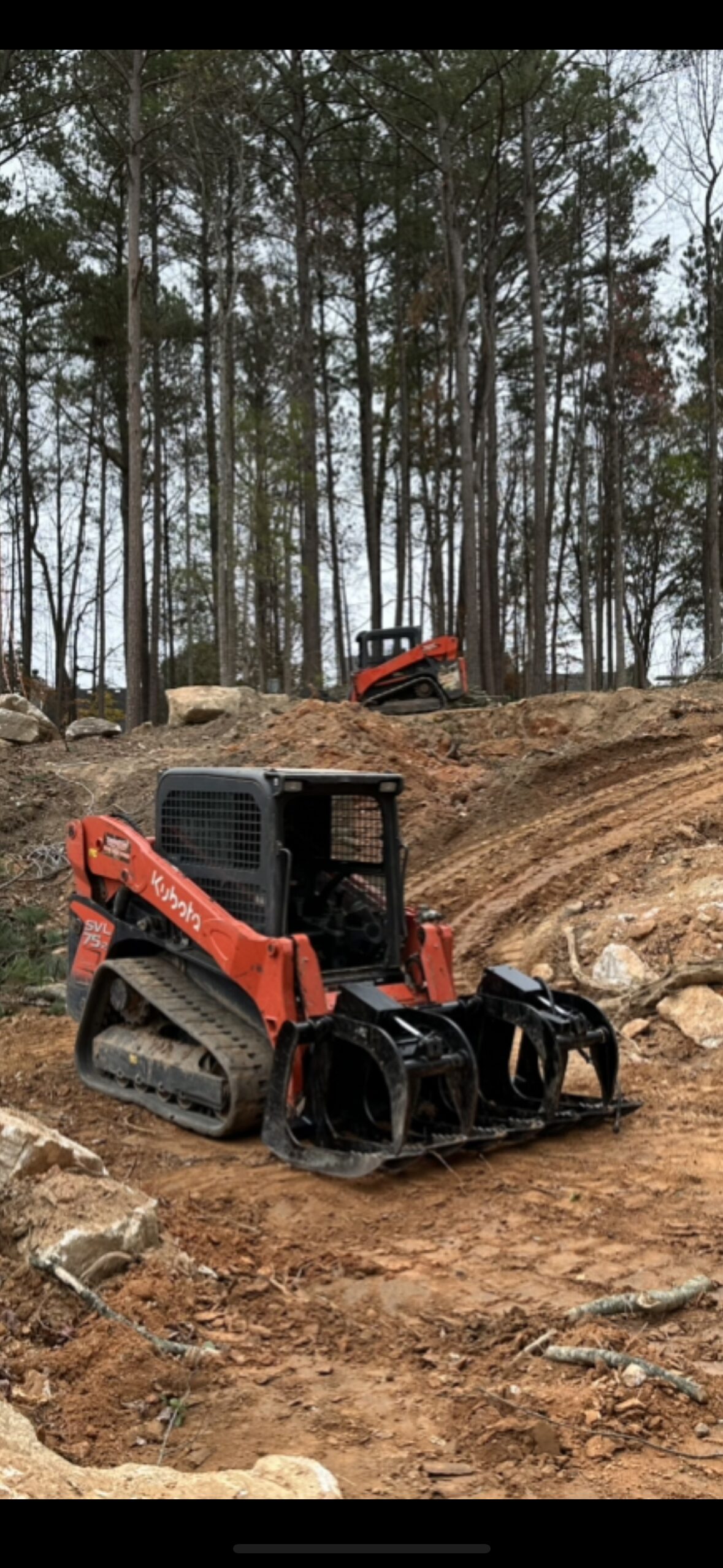 Land Clearing (1)