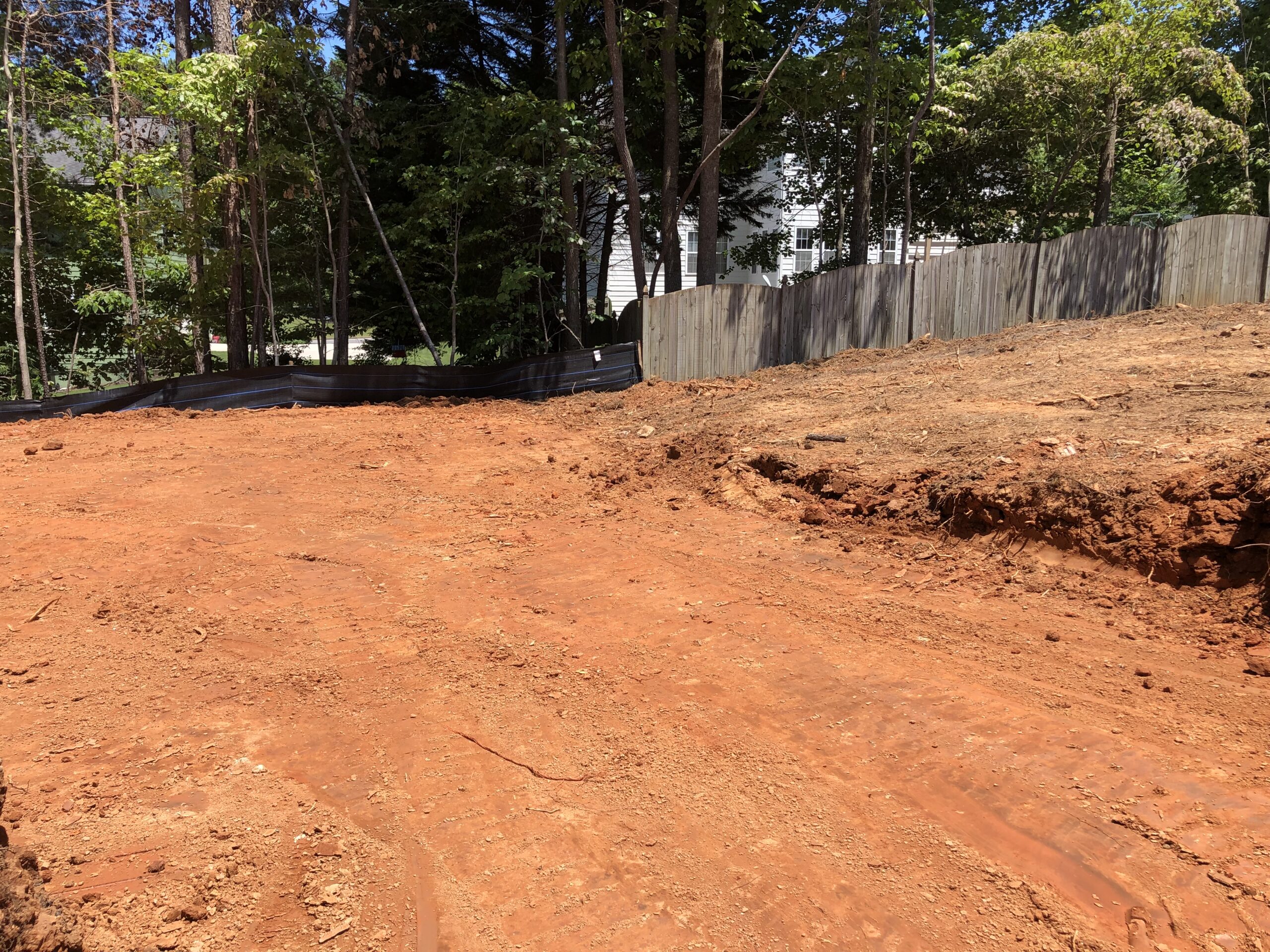 Land Clearing (11)