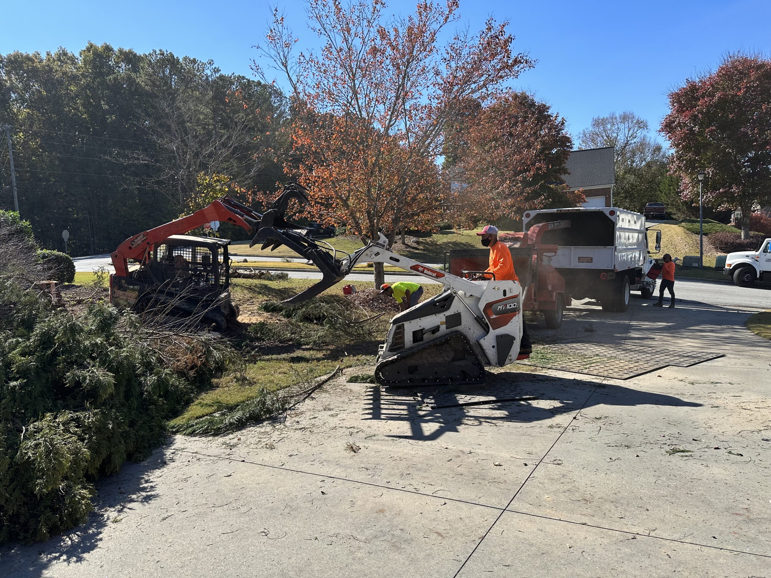 Land Clearing (3)