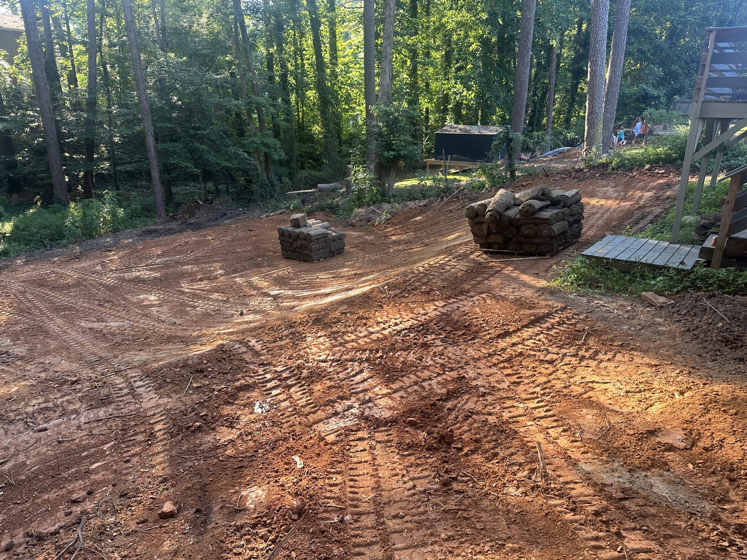 Land Clearing (4)