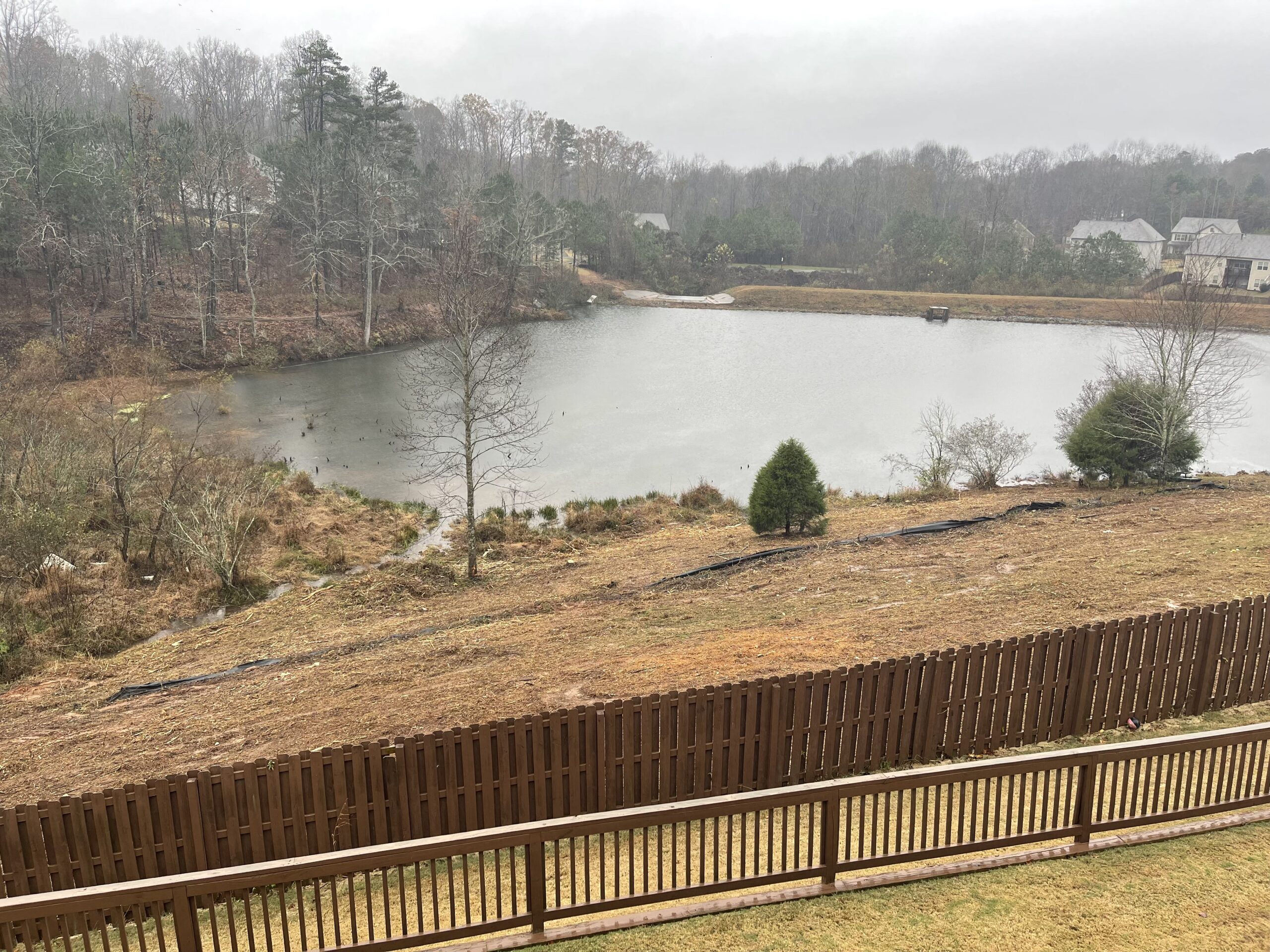Land Clearing (9)