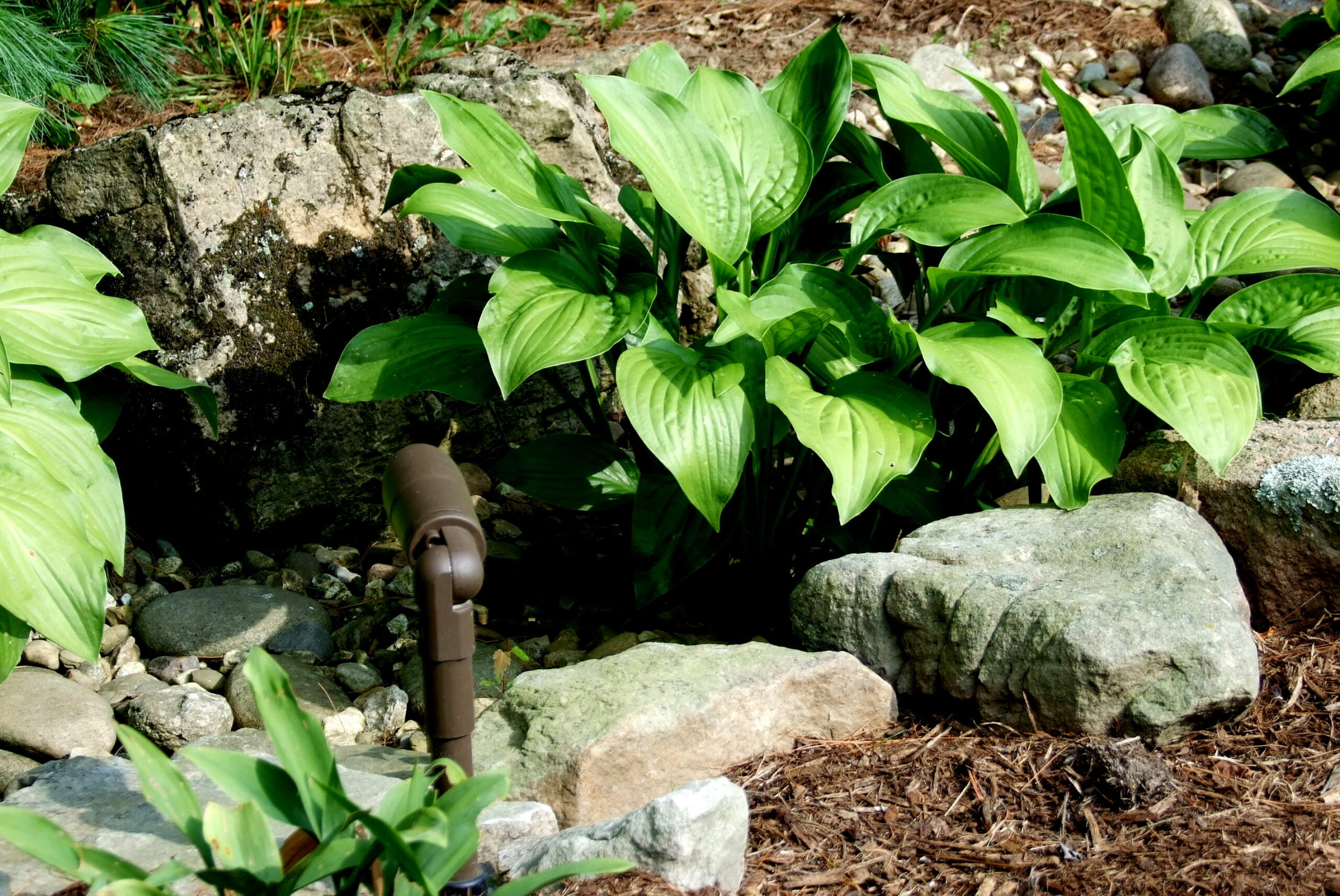 Landscape Lighting (4)