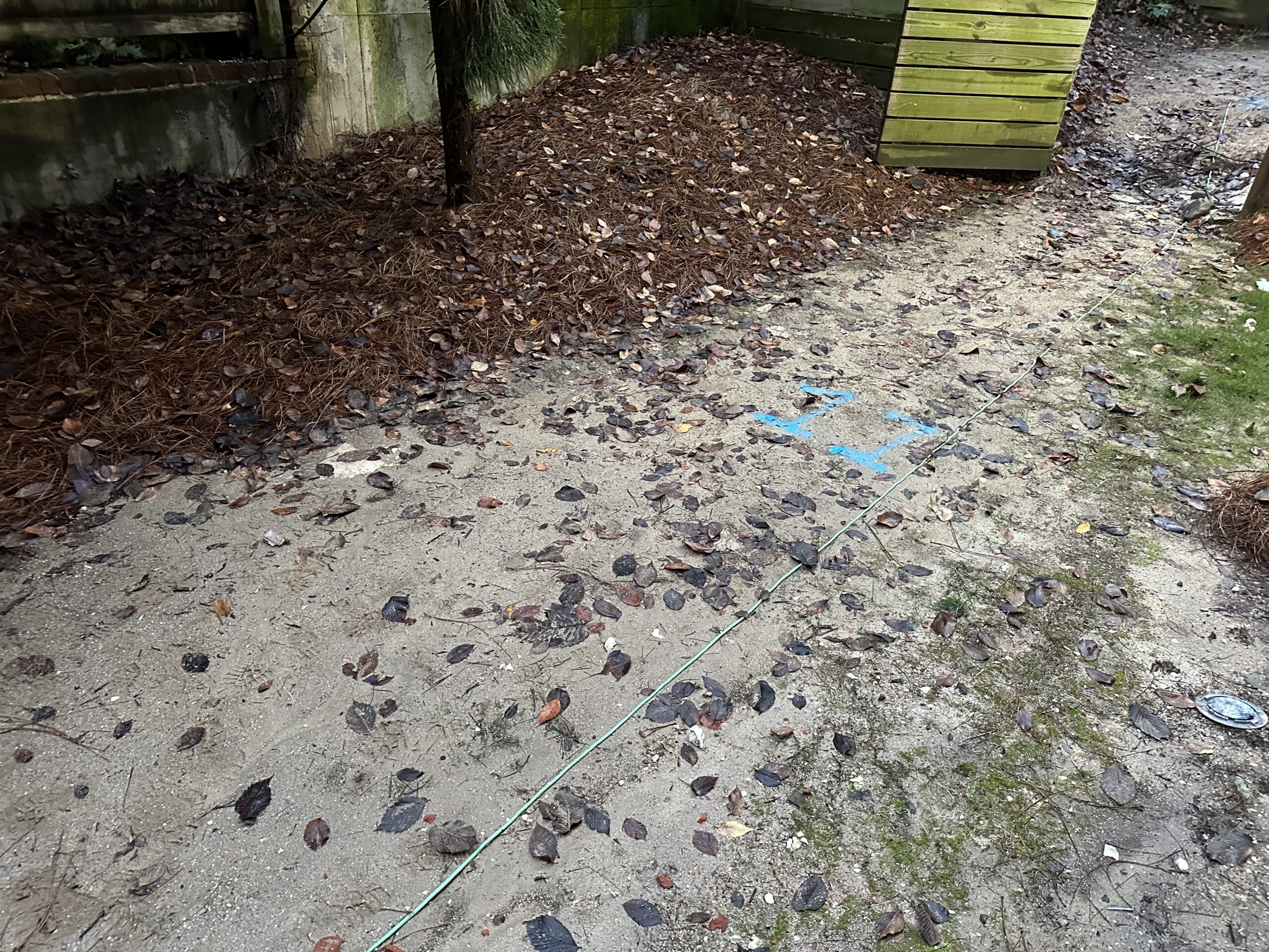 Turf (5)