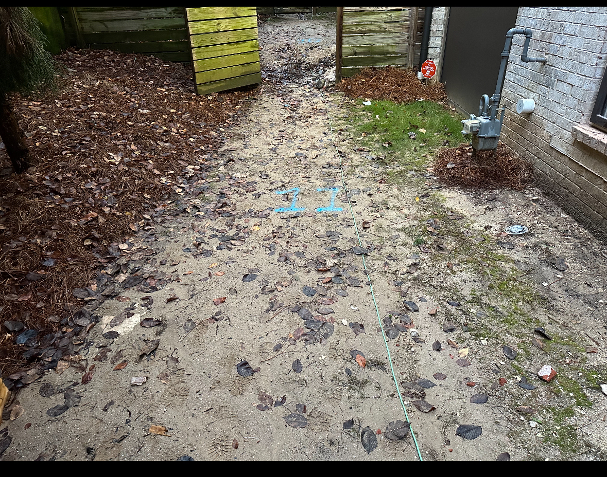 Turf (9)